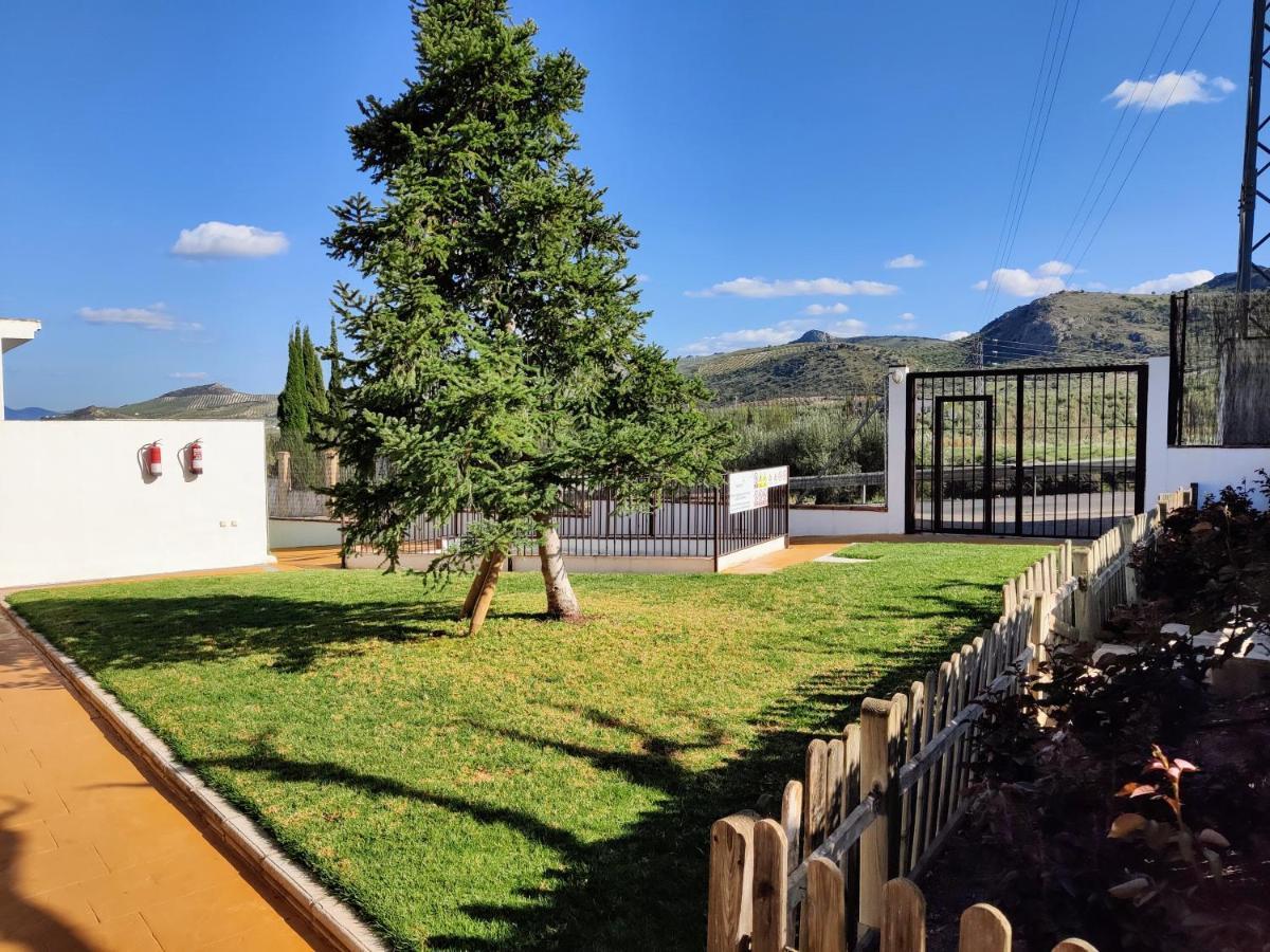 Apartamento Rural Villa Aurora Luque Exterior foto